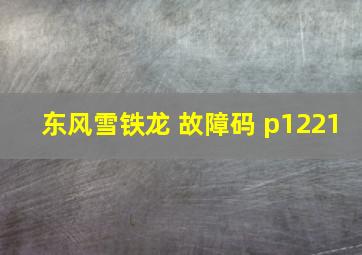 东风雪铁龙 故障码 p1221